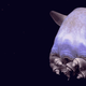 Illustration for article titled Kick Off Your Weekend with These Adorable Sea Creature Gifs!